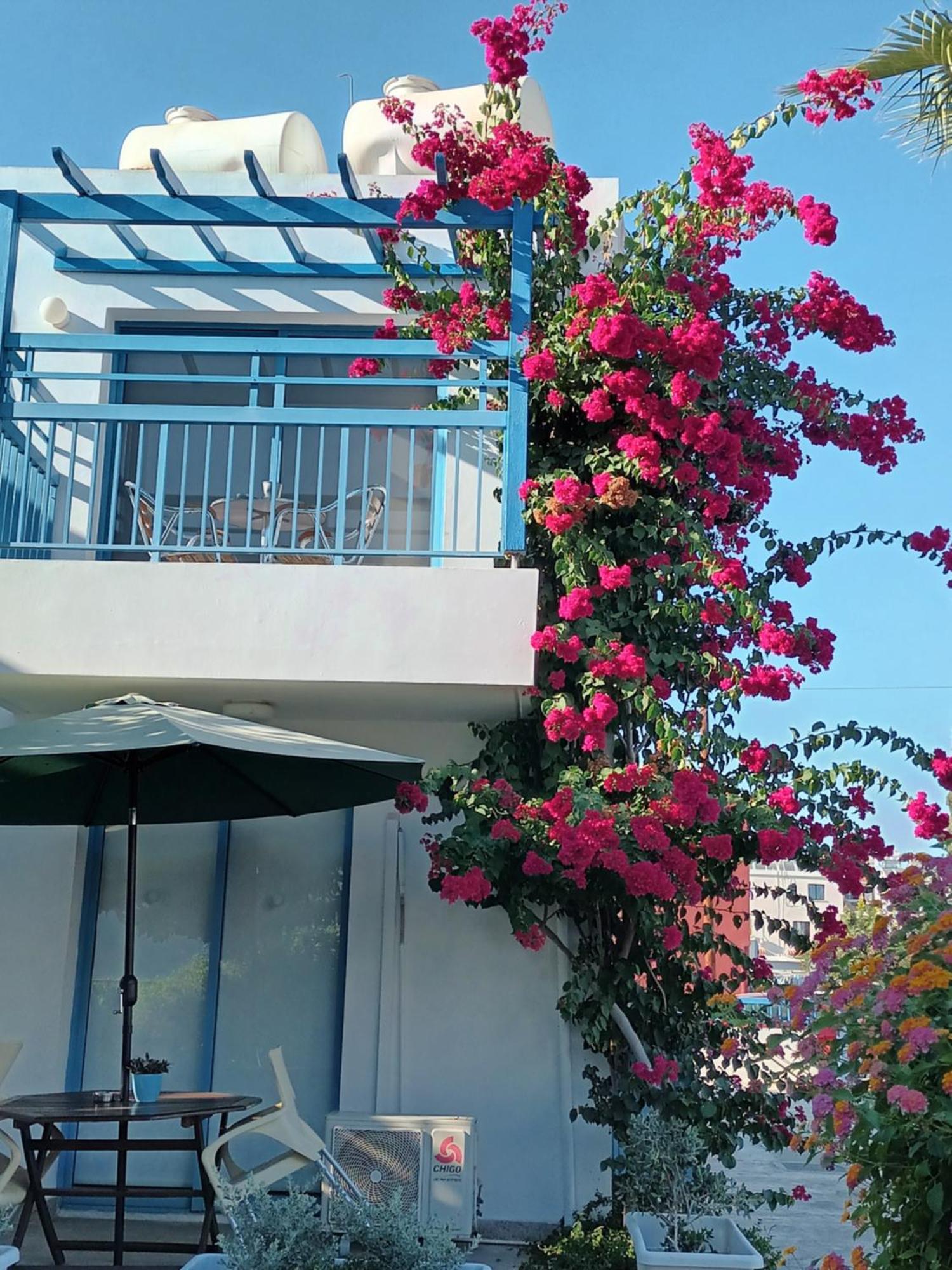 Ocean Blue Apartments Paphos Bagian luar foto